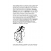 ANATOMIA II  